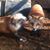Treena Lynette Breaud's profile image