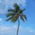 Misi DuVall Holmberg's profile image