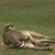 Linda Carpenter's profile image