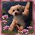Kathleen Jacoby Kelly's profile image