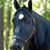Barb Buxton Conover's profile image