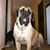 Diane Resop Clark-Urbancik's profile image