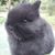 Nikki Cassel's profile image