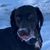 Laura Ann Bauer's profile image