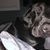 Lisa Druckrey's profile image