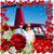 Deb Wallace's profile image