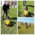 Soha Ahmed Aly's profile image