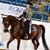 Kimberly Shaffer Dickinson's profile image