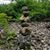 Sally Rego-Wasinack's profile image