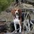 Lisa Cline's profile image