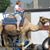 Mary Vander Wiel Light's profile image