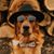 Raymond Beishir's profile image