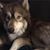 Alicia Kay Stevens's profile image