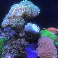 Jeff Diebel's profile image
