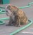 Deanna H.'s profile image