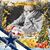Silvia Tucar Martinez's profile image