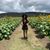 Adriana Rosario's profile image