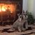 Christine Kautz's profile image