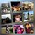 Kevin Olegario's profile image