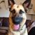 Susan Anderson Greco's profile image