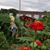 Jennifer Rawlison's profile image