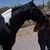 Mandy Corbett's profile image