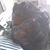 Erika Nicole Davis's profile image