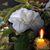 Amy Mahony's profile image