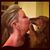 Mary Robbins's profile image