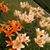 Donna Britton Ludwig Barkell's profile image