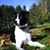 Lisa Elwood's profile image