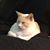 Jan Blalock Statham's profile image