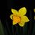 Liz Condra Tatum's profile image