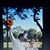 Susie McCollister Rutherford's profile image