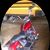 Shane Coursen's profile image
