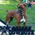 Mike Ridgway's profile image