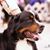 Lynn Robbs Nelson's profile image