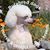 Jessica Blackwell's profile image