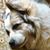 Mary Widick's profile image