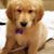 Megan W. Mangs's profile image
