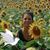 Patti Grotzinger's profile image