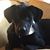 Amy Chimner- Hoffman's profile image