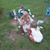 Britleigh Shae Johns's profile image