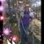 Sheila Reiboldt's profile image