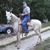 Gloria Latta's profile image