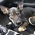 Stacia Joyce's profile image