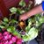 Sharon Stilwell's profile image