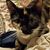 Karen Kleck's profile image