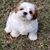 Sandi Foster's profile image