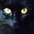 Melanie Harper's profile image